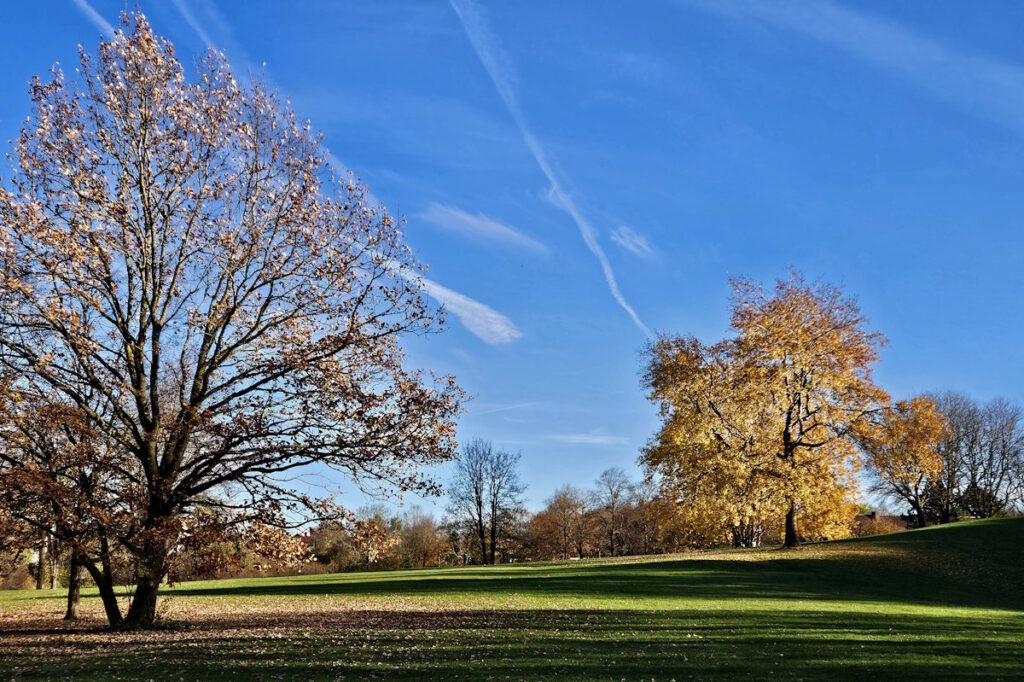 Grünanlage in Neuperlach