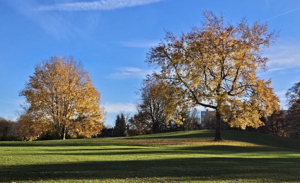 Grünanlage in Neuperlach