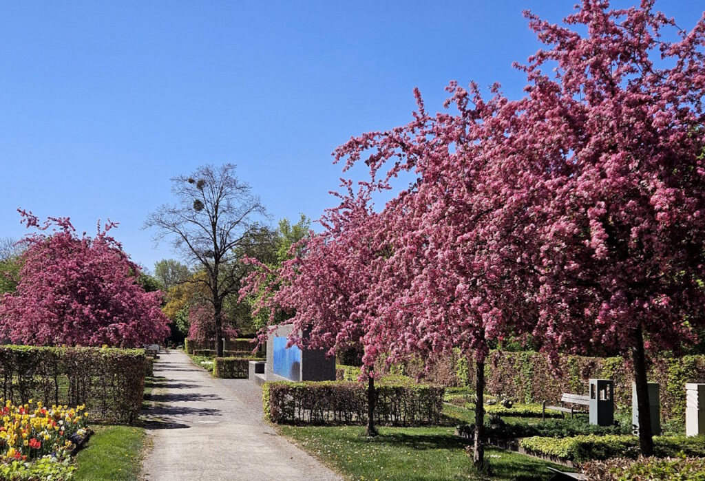 Westfriedhof München Mosaikgärten
