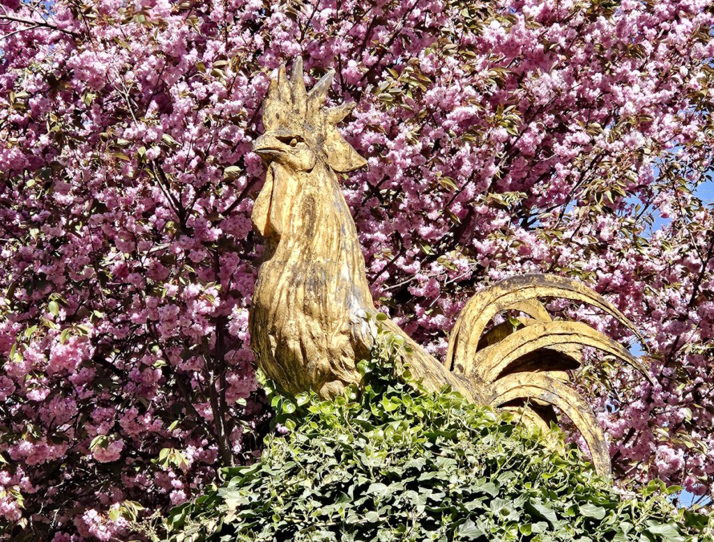 Goldener Hahn von Andreas Rauch im Rosengarten der Borstei