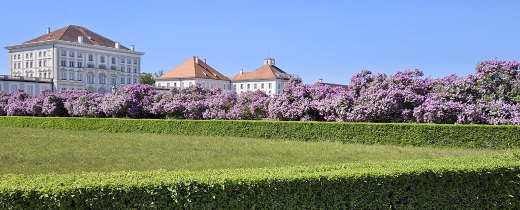 Schlossrondell Fliederblüte