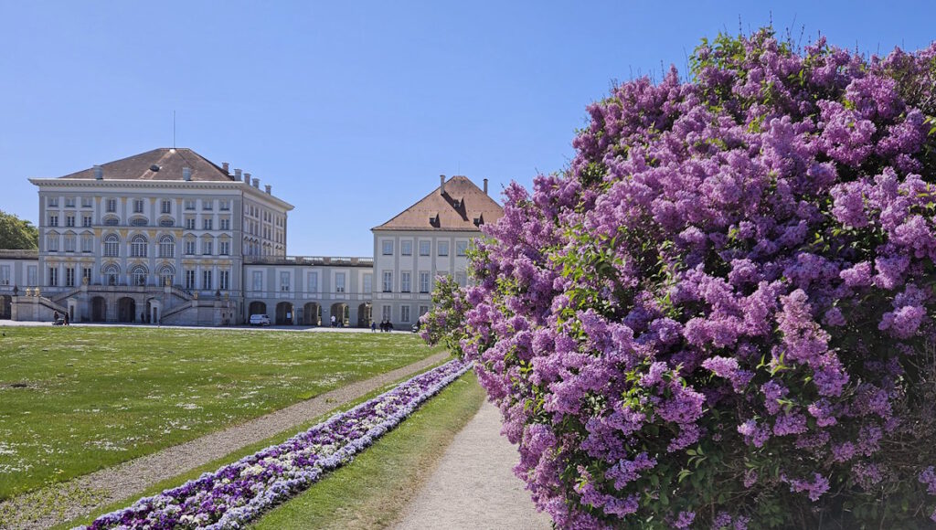 Schlossrondell Fliederblüte