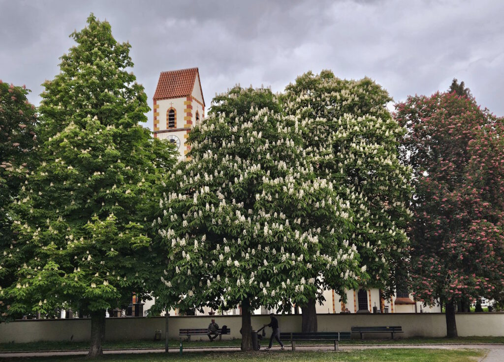 Alte Filialkirche St. Martin