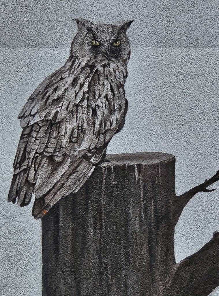 Eule Graffito Pestalozzi-Gymnasium