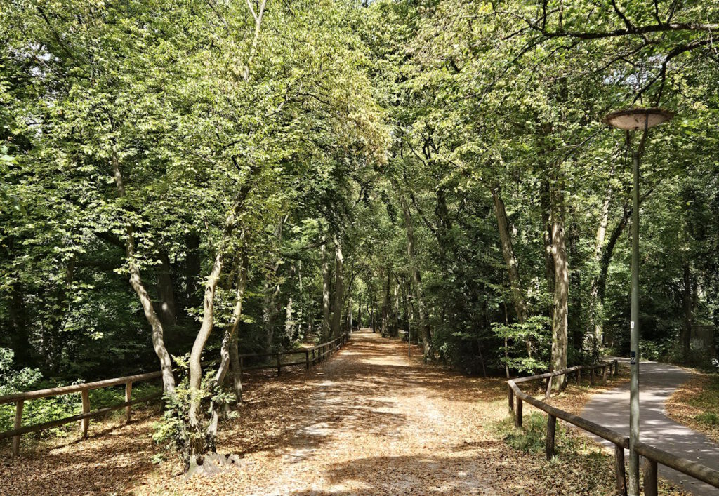 Hochleite in Harlaching