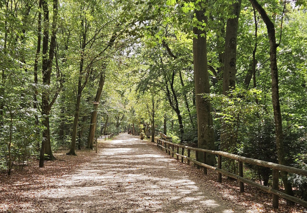 Hochleite in Harlaching