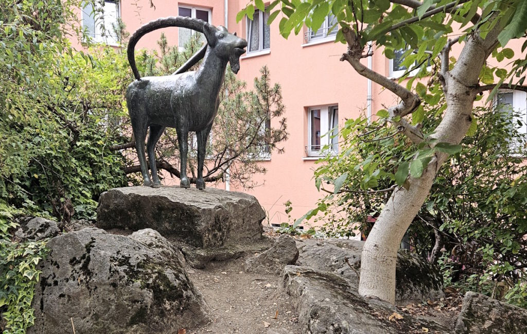 Guido Goetz: Steinbock