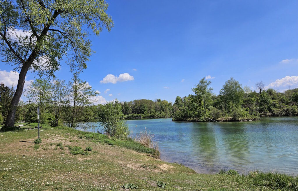 Poschinger Weiher