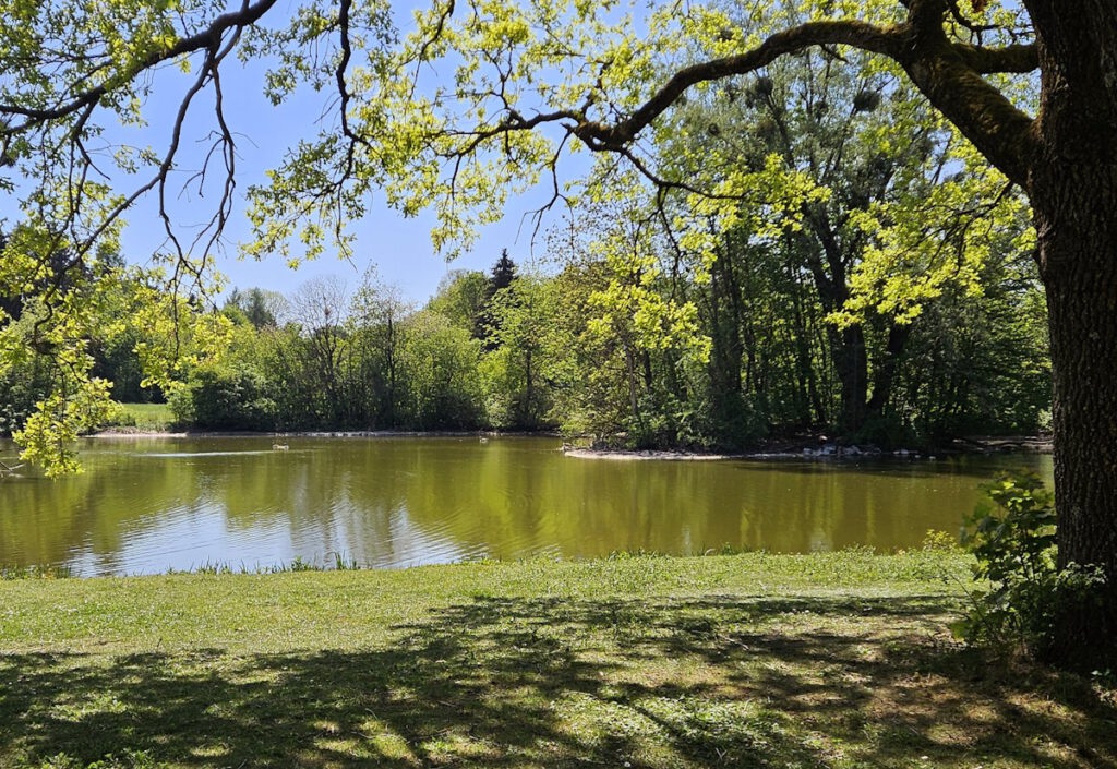 Waldfriedhofsee München