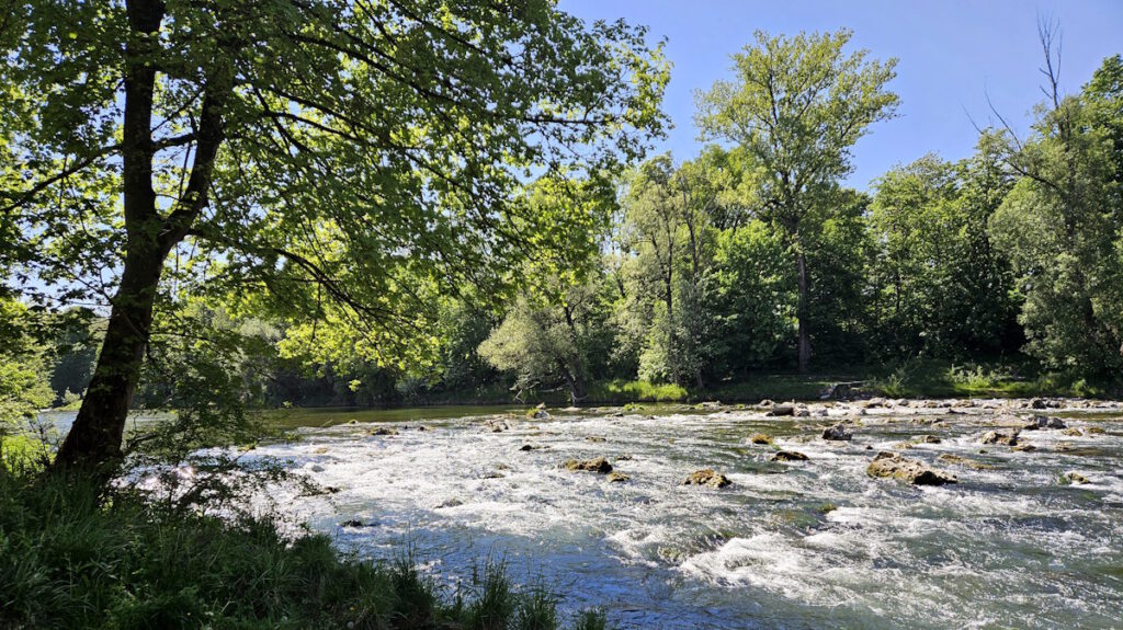 Weg entlang der Isar in Unterföhring