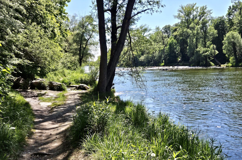 Weg entlang der Isar in Unterföhring