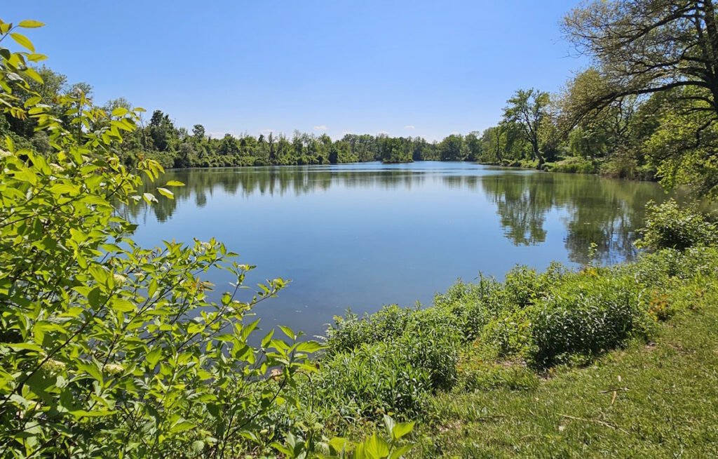 Poschinger Weiher