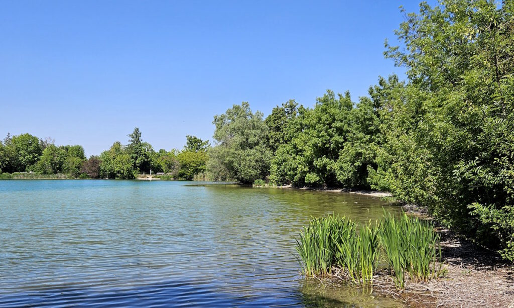 Fasaneriesee in Feldmoching