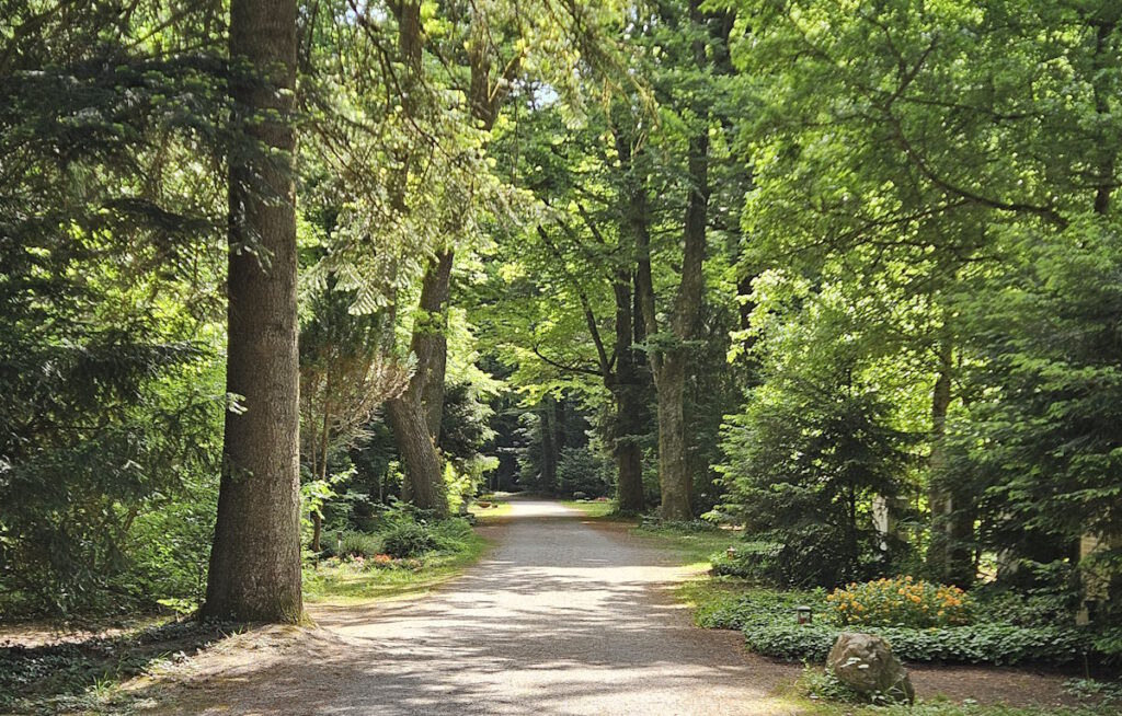 Waldfriedhof München