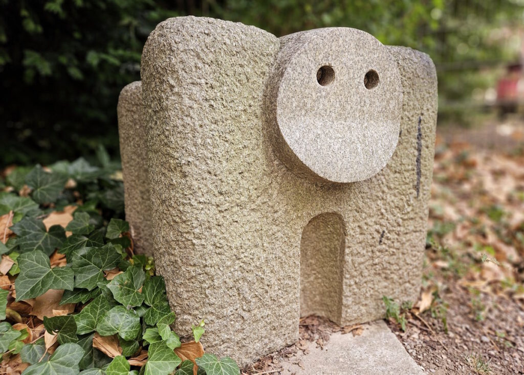 Klaus Behr: Gorilla