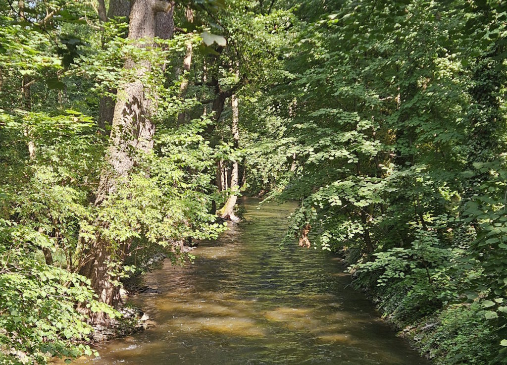 Würm in Obermenzing