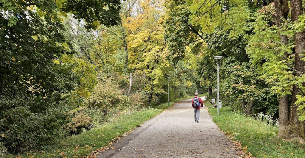 Walter-Hopf-Weg in Hadern