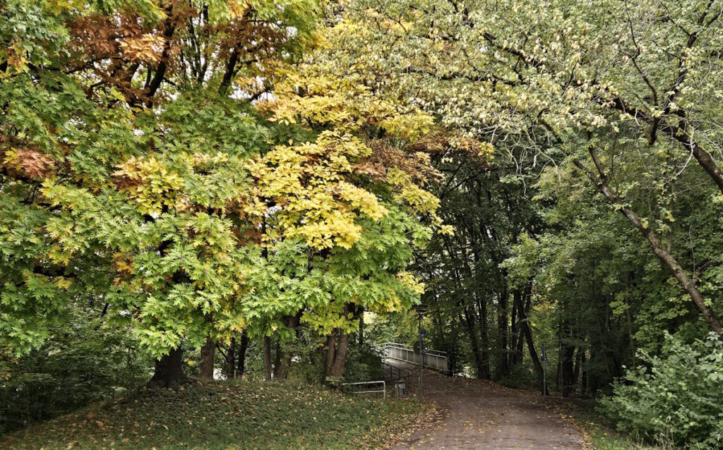 Walter-Hopf-Weg in Hadern
