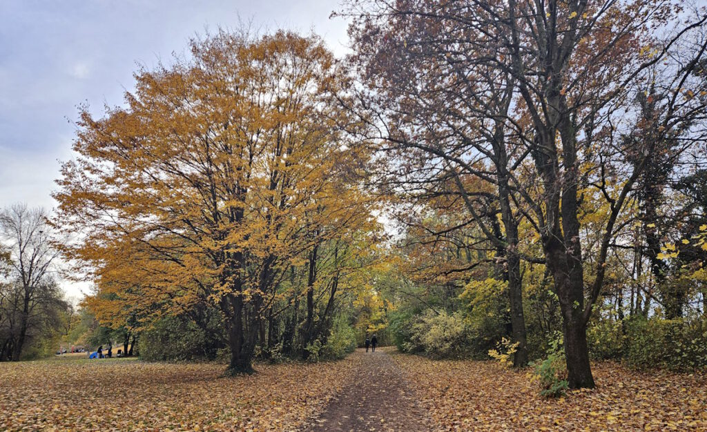 Fasaneriesee in Feldmoching