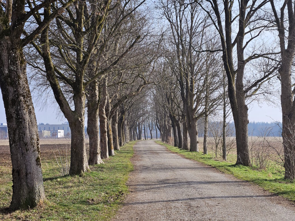 Freihamer Allee