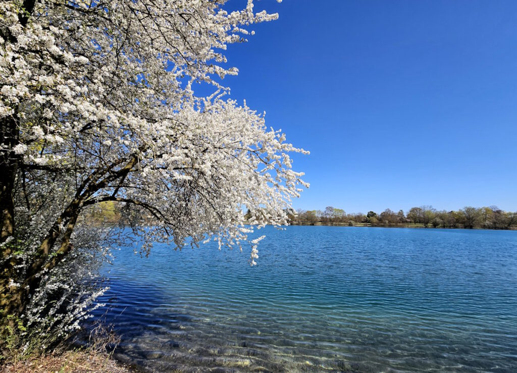 Fasaneriesee in Feldmoching