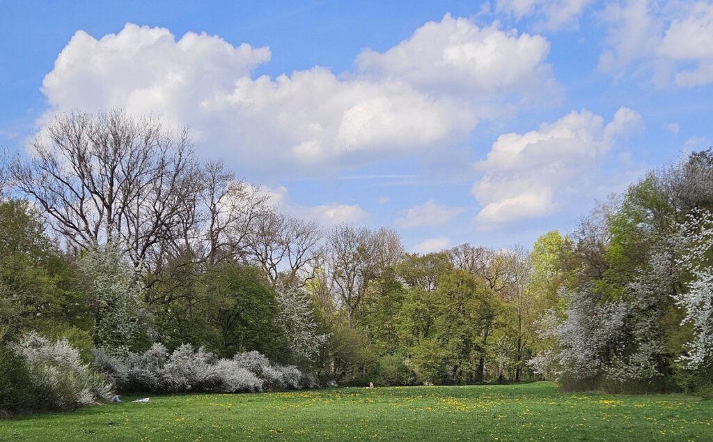 Pasinger Stadtpark