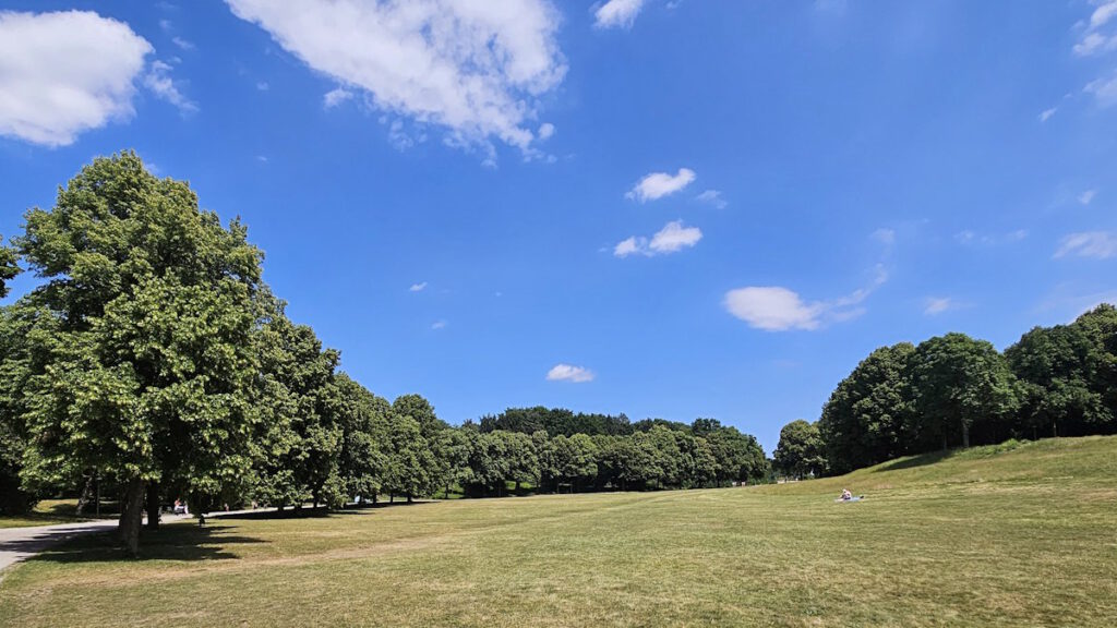 Wiese im Westpark
