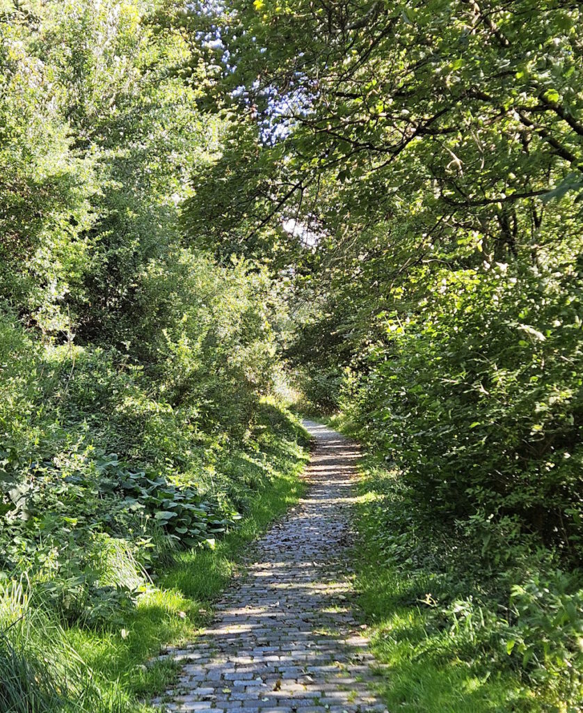 Fröttmaninger Berg