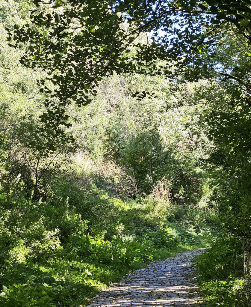 Fröttmaninger Berg