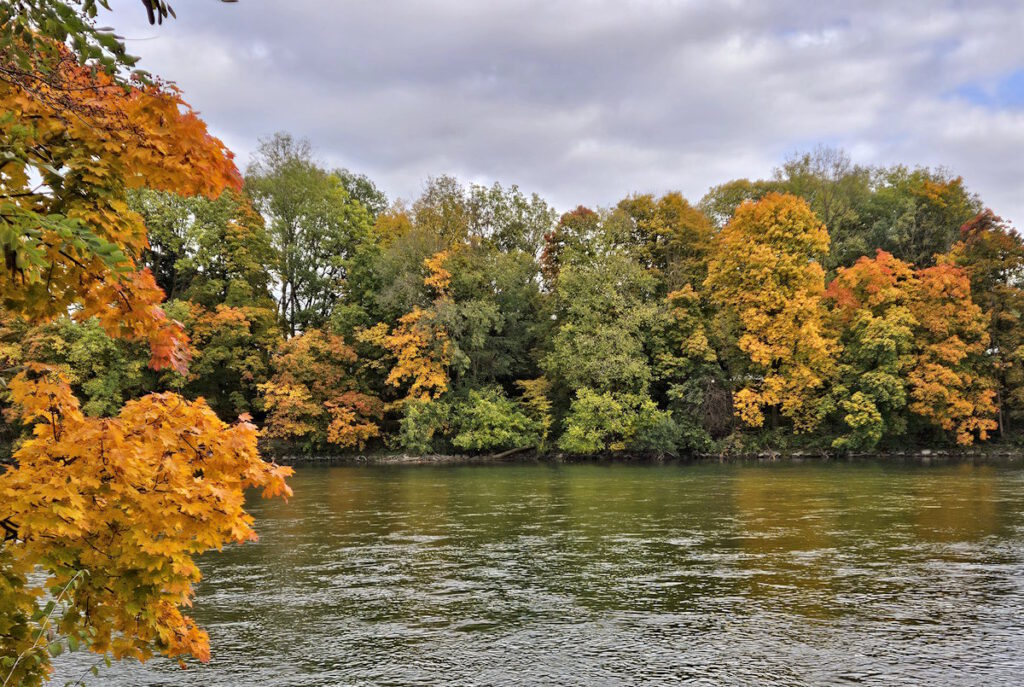 Herbst an der Isar