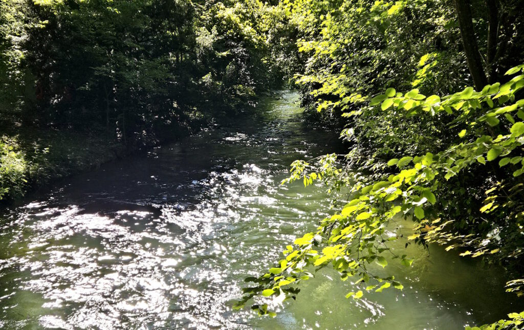 Auer Mühlbach