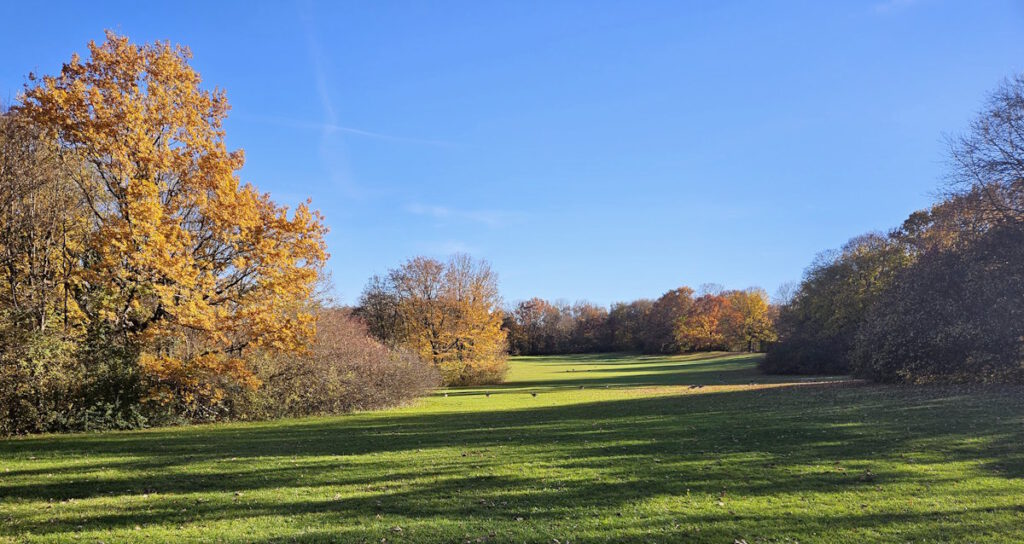 Herbst im Ostpark München