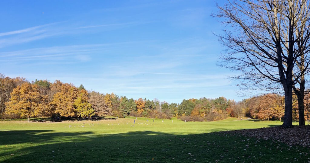 Herbst im Ostpark München