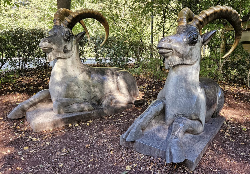 Steinböcke vor dem Tierpark Hellabrunn