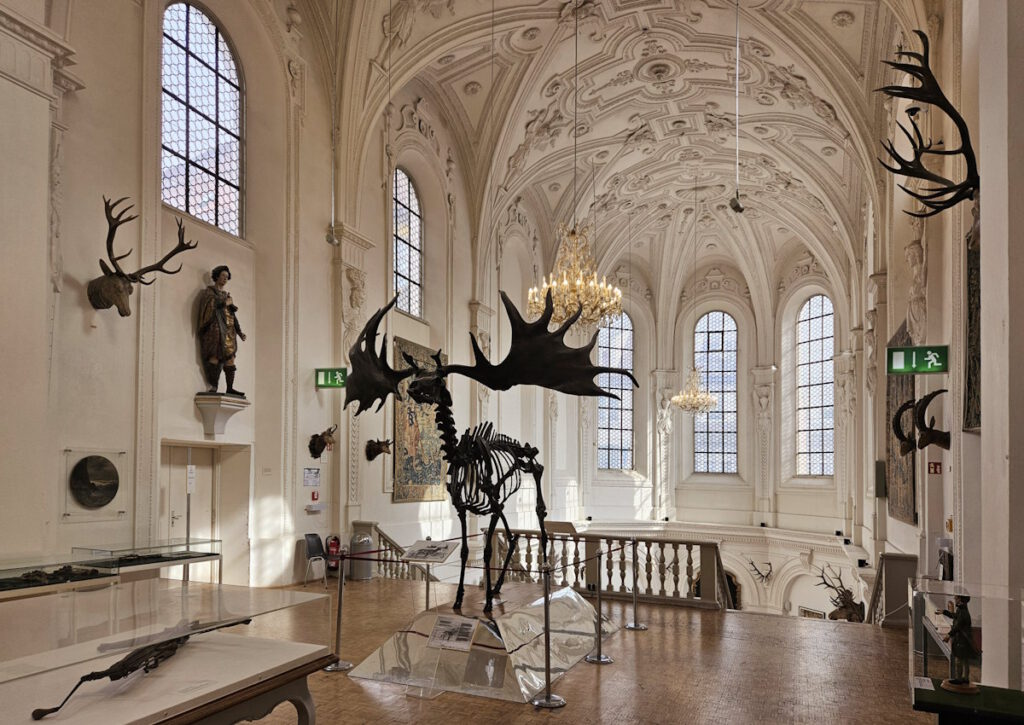 Deutsches Jagd- und Fischereimuseum