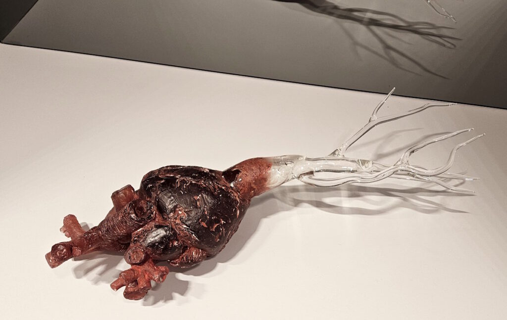 Simone Fezer: Verwurzelt